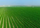 مصطفى بكري يكشف عن بدء البرلمان مناقشة مشروع قانون جهاز مستقبل مصر لدعم جهود التنمية الشاملة