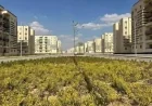 الإسكان تطلق قرعة علنية لبيع شقق جديدة اليوم في 8 مدن مع أسعار وتفاصيل شاملة