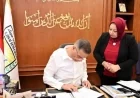 محافظ جنوب سيناء يعلن عن درجات القبول الجديدة للثانوي العام والتعليم الفني