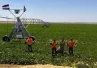 مشروع قانون لتطوير جهاز مستقبل مصر يهدف إلى تعزيز الأمن الغذائي ودعم التنمية المستدامة