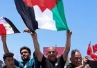 إعلام إسرائيلي يسلط الضوء على رفع حسام حسن علم فلسطين في العلمين الجديدة