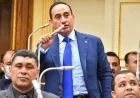نائب يؤكد استقبال الرئيس للمنتخب يعكس دعمًا قويًا ويشدد على أهمية كشافو المواهب لصناعة أبطال جدد