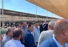 رئيس الوزراء يزور مزرعة للإنتاج الزراعي والحيواني في مدينة العلمين الجديدة لتعزيز الأمن الغذائي