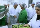 تفقد رئيس الوزراء محطات فرز وتعبئة شركة بلكو للإنتاج الزراعي في مدينة السادات لتعزيز القطاع الزراعي