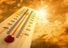 الطقس غدًا الخميس أجواء حارة مع توقعات لشبورة مائية في الصباح على الطرق