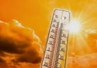 درجات الحرارة ترتفع قليلاً مع توقعات الأرصاد عن حالة الطقس ليوم الأحد 19 يوليو 2026