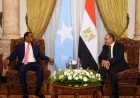 تعزيز العلاقات المصرية الصومالية من خلال مباحثات حول الأوضاع الإقليمية المتطورة