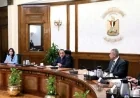 رئيس الوزراء يدعو لتسريع حل التشابكات المالية بين الجهات المختلفة