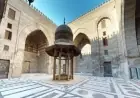 الوزراء يكشفون التفاصيل حول فيديو انتشار الخفافيش في مجموعة الظاهر برقوق