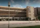 دراسة دكتوراه بجامعة الإسكندرية تكشف القوة التفسيرية لنموذج العرف النسوي في العلوم السياسية