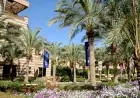 الجامعة الأمريكية تقدم برنامج مساري لدعم الطلاب ذوي الاختلافات النمائية العصبية