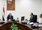 الحكومة تطلق خطة مبتكرة لمواجهة ظاهرة الكلاب الضالة وتأسيس مراكز إيواء في المدن الجديدة