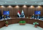 مصر والصين تحفزان النمو من خلال مشروعات استراتيجية في البتروكيماويات وتوطين المنتجات