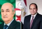 الرئيس السيسي يبعث تعازيه للرئيس الجزائري في ضحايا الحرائق ويؤكد دعم مصر الكامل للجزائر