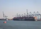 وزير النقل يثمن جهود أطقم قاطرات ميناء دمياط في إنقاذ سفينة التغويز بنجاح