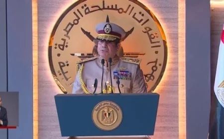الرئيس السيسي يدعو للاجتماع السنوي لمراجعة الإعلام في مصر في الثالث من ديسمبر