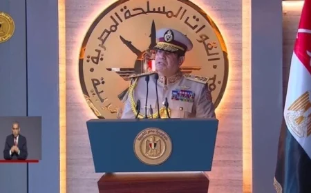 الرئيس السيسي يوجه مستقبل مصر بضرورة وضع خطة شاملة لتخفيف أعباء المواطنين في مجالات الزراعة والتموين