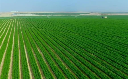 مصطفى بكري يكشف عن بدء البرلمان مناقشة مشروع قانون جهاز مستقبل مصر لدعم جهود التنمية الشاملة
