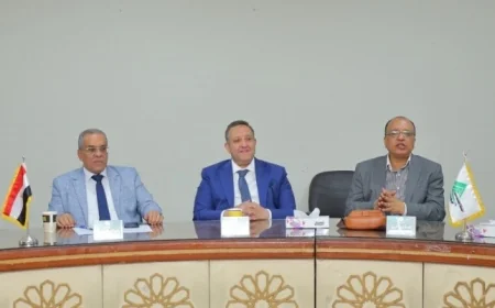 لجنة الجبانات في نقابة المهندسين تكشف عن خطة جديدة لتوفير مقابر في جميع المحافظات