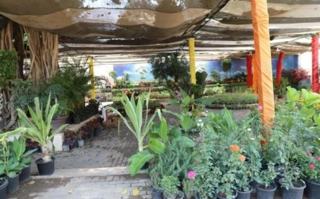 معرض الزهور بالمتحف الزراعي في الدقي يستمر في جذب الزوار بأجوائه الخلابة
