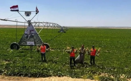 مشروع قانون لتطوير جهاز مستقبل مصر يهدف إلى تعزيز الأمن الغذائي ودعم التنمية المستدامة