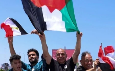 إعلام إسرائيلي يسلط الضوء على رفع حسام حسن علم فلسطين في العلمين الجديدة