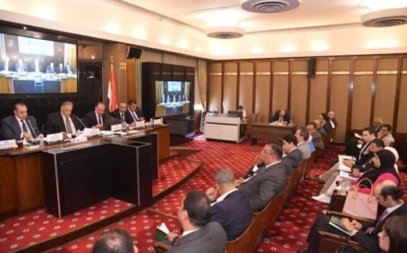 إنفوجراف يسلط الضوء على أهم تعديلات اللجنة المشتركة لقانون جهاز مستقبل مصر للتنمية المستدامة