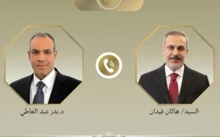 مصر وتركيا تؤكدان رفضهما لتهجير الفلسطينيين وضرورة وصول المساعدات الإنسانية