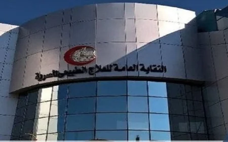 نقابة العلاج الطبيعي تعلن عن إنشاء جامعة كيان التابعة للقوات المسلحة لتعزيز تأهيل الكوادر المتخصصة