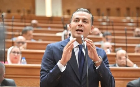 نائب يؤكد أن قانون جهاز مستقبل مصر يوازن بين سرعة الإنجاز والضوابط اللازمة