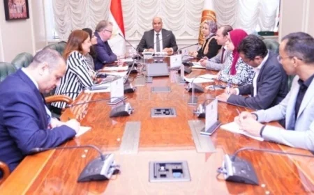 مصر تعزز التعاون مع وفد العمل الدولية لوضع مشروع قانون ينظم العمالة المنزلية