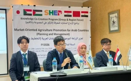 مصر تستضيف برنامج جايكا بالتعاون مع 5 دول عربية لتعزيز الزراعة الموجهة نحو السوق