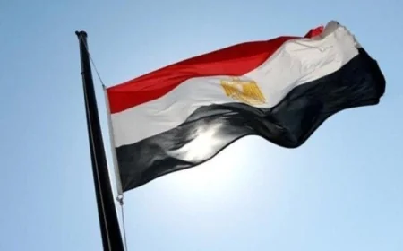 مصر تندد بالهجوم على ناقلتي نفط إماراتيتين في مضيق هرمز