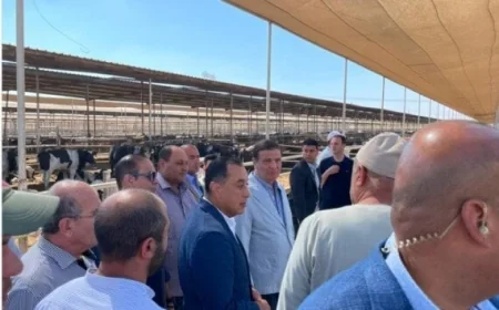 رئيس الوزراء يزور مزرعة للإنتاج الزراعي والحيواني في مدينة العلمين الجديدة لتعزيز الأمن الغذائي