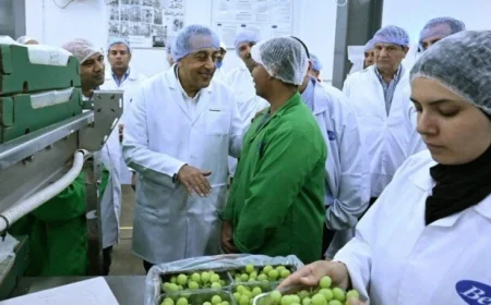 تفقد رئيس الوزراء محطات فرز وتعبئة شركة بلكو للإنتاج الزراعي في مدينة السادات لتعزيز القطاع الزراعي