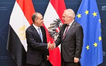 وزير الخارجية يؤكد من فيينا أهمية تأسيس مجموعة صداقة برلمانية بين مصر والنمسا