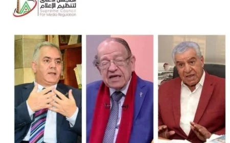 الأعلى لتنظيم الإعلام يقرر في شكوى زاهي حواس وممدوح الدماطي ضد وسيم السيسي