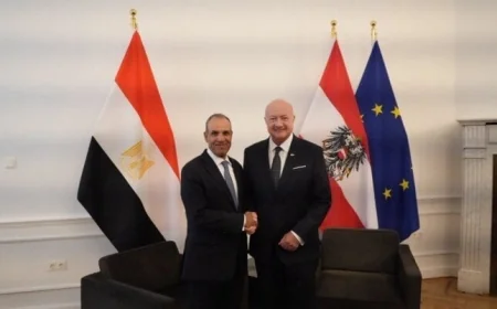 وزير الخارجية يسلم رسالة الرئيس السيسي للمستشار النمساوي ويستعرض سبل تعزيز العلاقات الثنائية بين مصر والنمسا