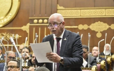 برلماني يحذر من مخاطر السوشيال ميديا كأداة مزدوجة ويدعو لتشريعات جديدة لمكافحة الشائعات وحماية المجتمع