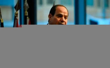 الرئيس السيسي يؤكد التزام مصر بتعزيز الشراكة ودعم تنزانيا في جميع المجالات