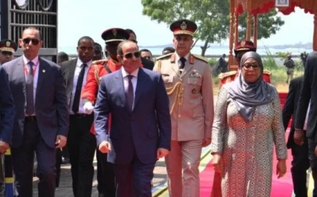 السيسي ورئيسة تنزانيا يعقدان قمة تاريخية في دار السلام لتعزيز التعاون الاستراتيجي بين مصر وتنزانيا