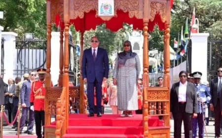 مشاريع تنموية كبرى بين مصر وتنزانيا تشمل زراعة وموانئ وربط بحري بحسب السيسي