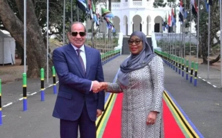السيسي في دار السلام يؤكد أهمية تعزيز العلاقات مع تنزانيا ويشدد على الشراكة الاستراتيجية بين البلدين