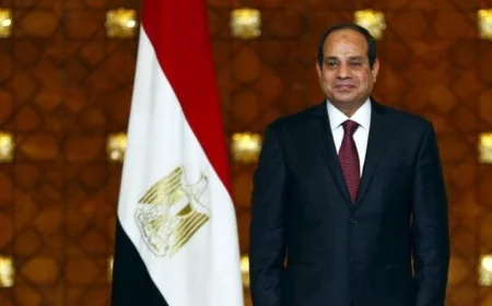 السيسي يثمن مساهمة تنزانيا الشقيقة في القضايا الإقليمية المهمة