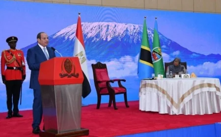 الرئيس السيسي يعلن عن اتفاق مصر وتنزانيا على مشاريع جديدة في مجالات الزراعة والموانئ والبنية التحتية
