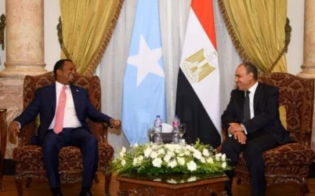 تعزيز العلاقات المصرية الصومالية من خلال مباحثات حول الأوضاع الإقليمية المتطورة