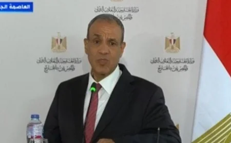 وزير الخارجية يؤكد ضرورة حل القضية الفلسطينية لتحقيق الاستقرار في المنطقة