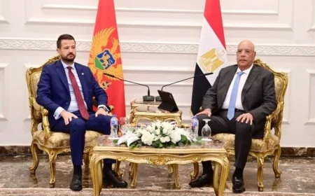 تعزيز التعاون البرلماني والسياسي في لقاء هشام بدوي وياكوف ميلاتوفيتش