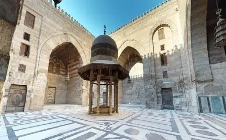 الوزراء يكشفون التفاصيل حول فيديو انتشار الخفافيش في مجموعة الظاهر برقوق
