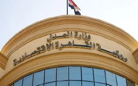 بدوي يؤكد التزام الرئيس السيسي بتحسين دور المؤسسات الدستورية في مصر